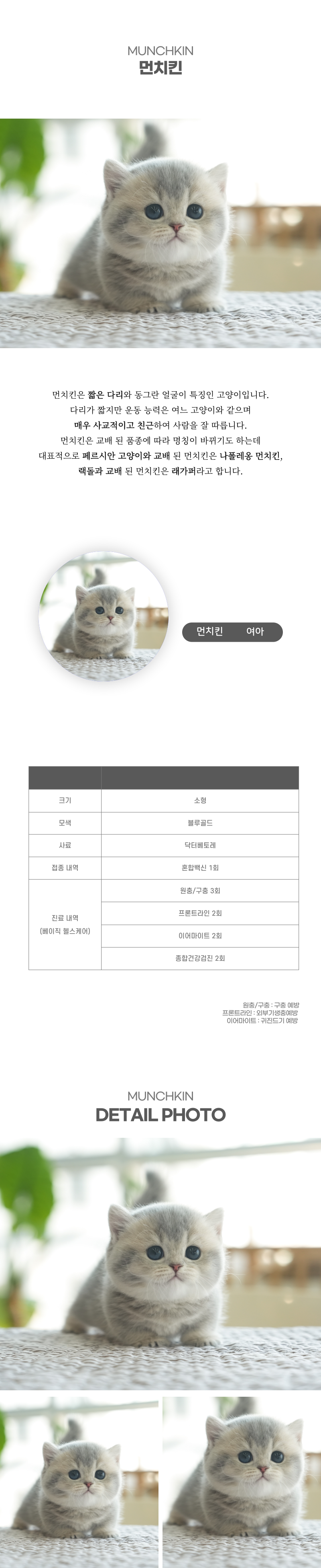 먼치킨_상세이미지_2